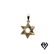 Chain with Gold Star of David Pendant