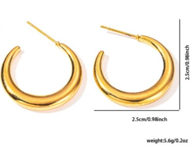 14k Gold Plated Hoop Ear Rings