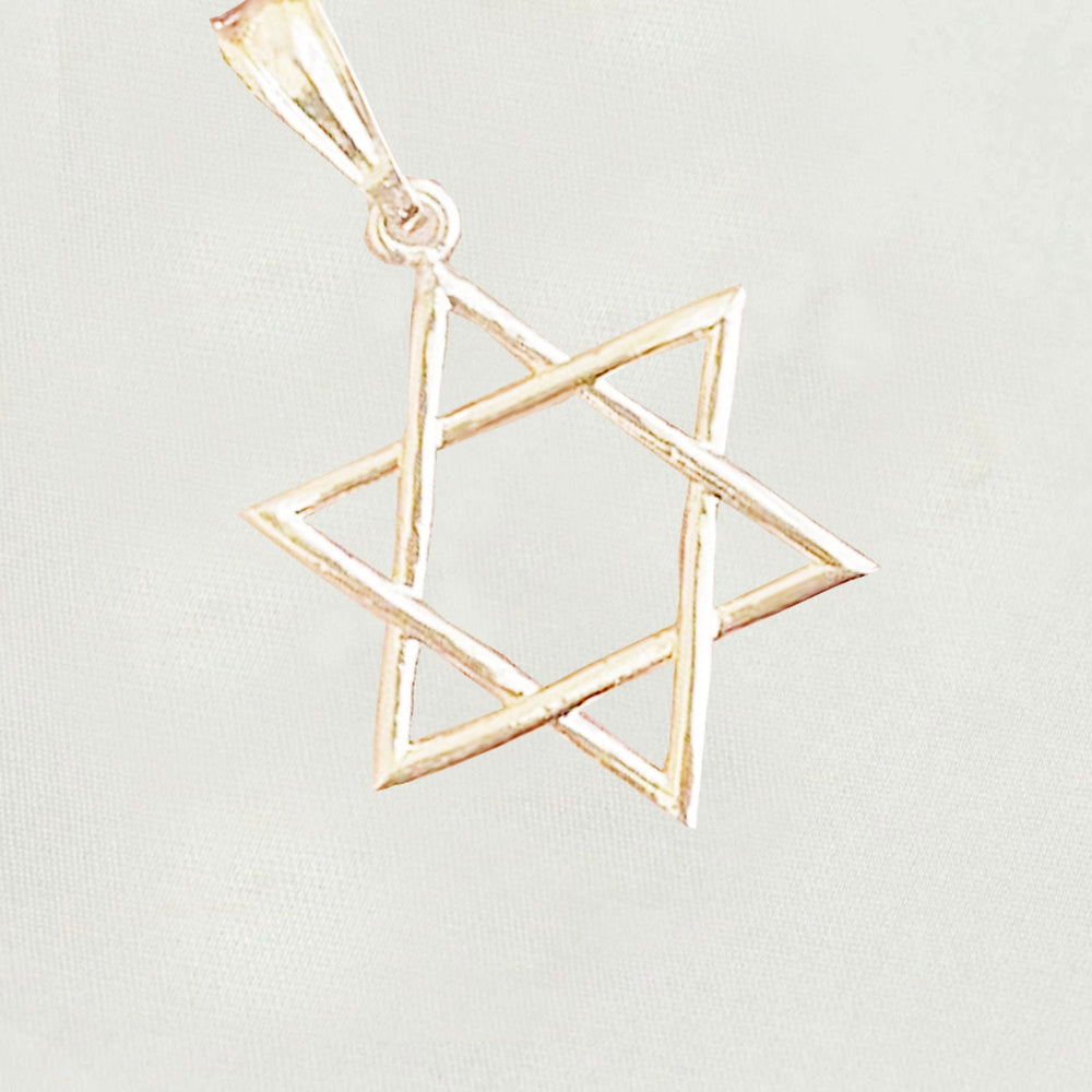 14k  gold plated Necklace with  gold plated Star of David Charm Valentine Gift for Women & Men, 14 Karat  gold plated Rope Necklace by Aria jeweler