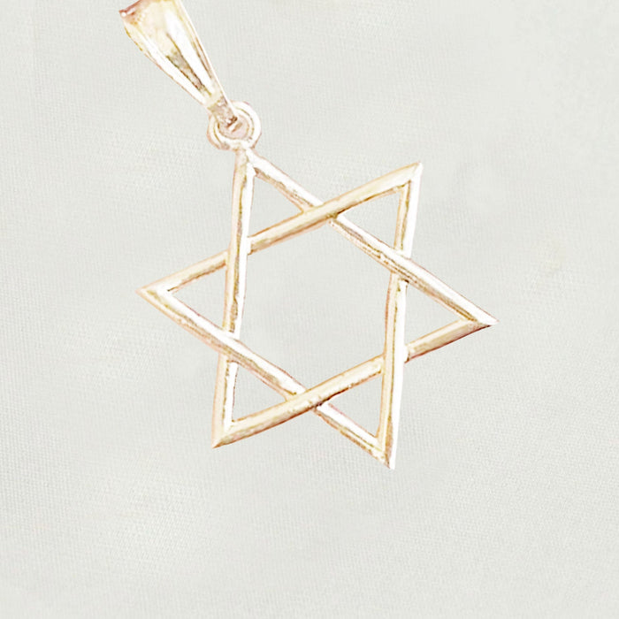 14k  gold plated Necklace with  gold plated Star of David Charm Valentine Gift for Women & Men, 14 Karat  gold plated Rope Necklace by Aria jeweler