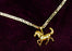 14k Vermeil Gold Necklace with Horse Charm Valentine Day Gift for Women & Men, Gold Mariner Necklace by Aria Jeweler