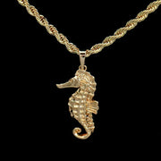 Chain with Gold Seahorse P30